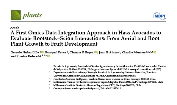 A first omics data integration approach in Hass avocados to evaluate rootstock–scion interactions: From aerial and root plant growth to fruit development.