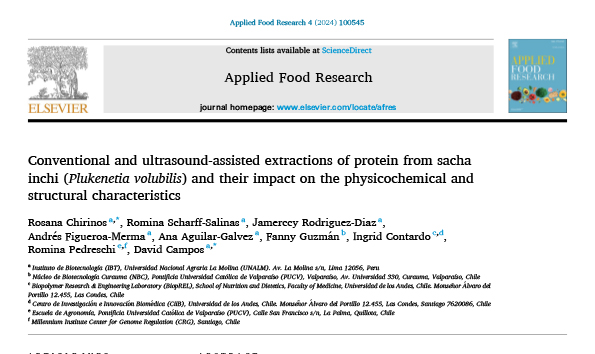 Conventional and ultrasound-assisted extractions of protein from sacha inchi (Plukenetia volubilis) and their impact on the physicochemical and structural characteristics